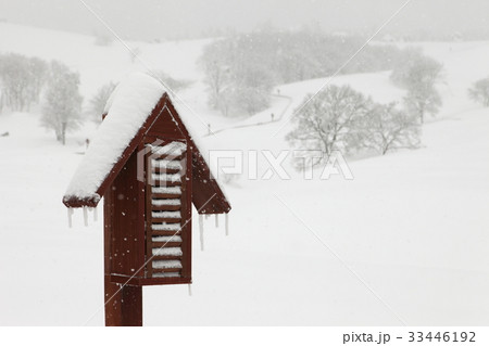 江原道 冬 大関嶺牧場 33446192