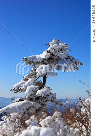 冬 徳裕山 茂朱郡 33446250