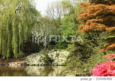 白松 池 昌慶宮 33446460