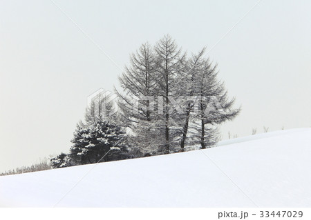 江原道 冬 大関嶺 33447029