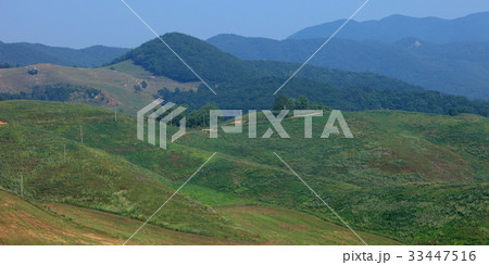山 瑞山市 草原 33447516