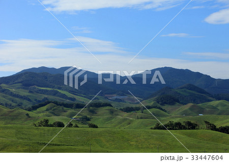 山 瑞山市 草原 33447604