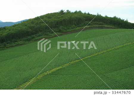 江原道 高冷地 農業 33447670