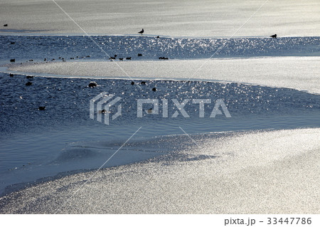 京畿道 キョンギド 始華湖 33447786