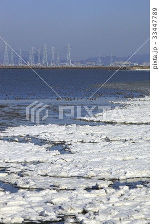 冬 始華湖 安山市 33447789