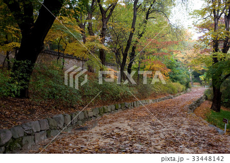 秋 フェンス 塀 33448142