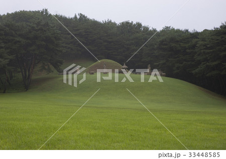 高陽市 コヤンシ 墓 33448585