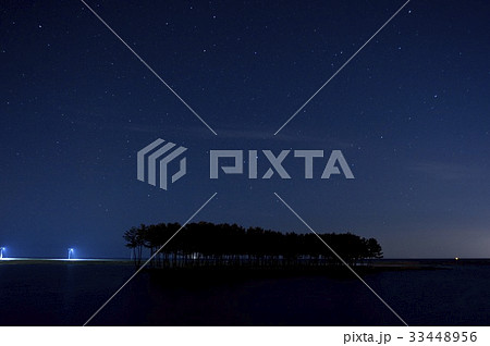 別 三陟 松 33448956