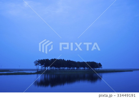 江原道 三陟 松 33449191