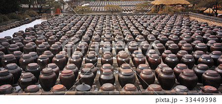 ソイル農園 安城市 かめ 33449398