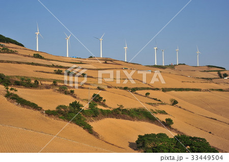 江原道 メボンサン 太白市 33449504