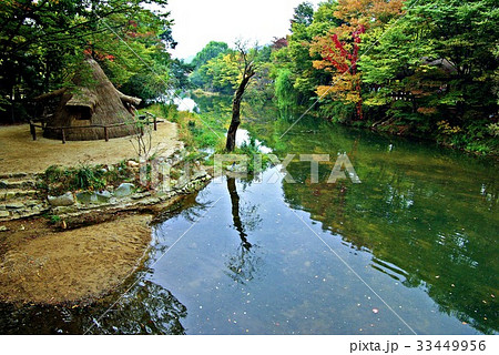 京畿道 キョンギド 反射 33449956