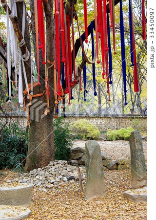 京畿道 キョンギド ソナンダン 33450097