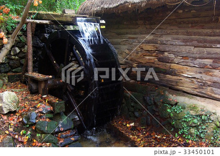 落葉 モーション 水 33450101