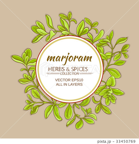 marjoram vector frame 33450769