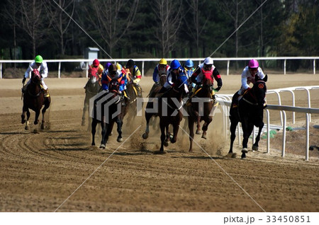 競馬場 果川市 言葉 33450851