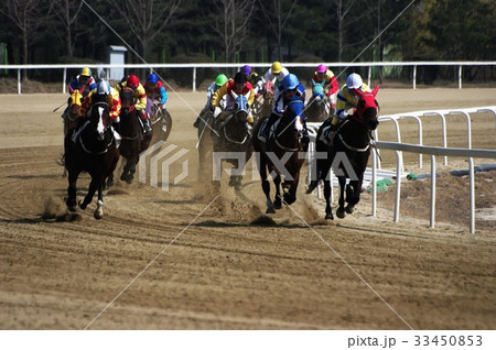 競馬場 果川市 言葉 33450853