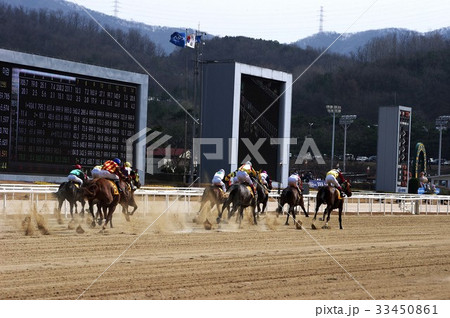競馬場 果川市 言葉 33450861