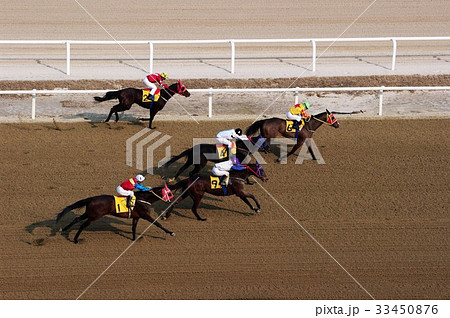 競馬場 果川市 言葉 33450876