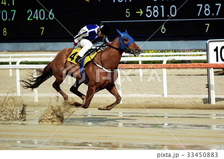 競馬場 果川市 言葉 33450883