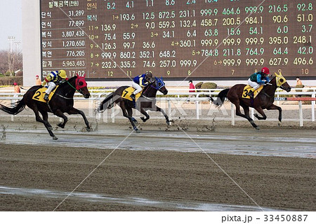 競馬場 果川市 言葉 33450887