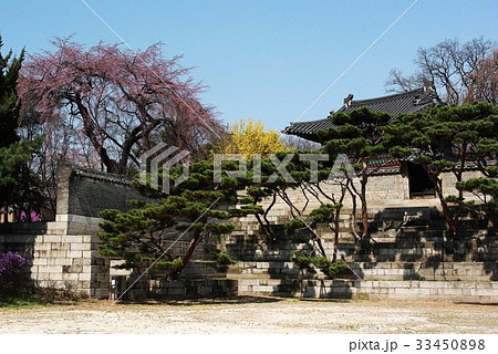 宮殿 ナクソンジェ ソウル 33450898