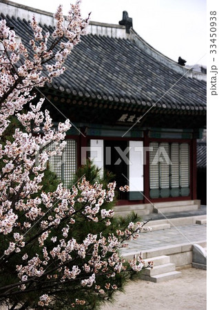 宮殿 ムンジョンジョン ソウル 33450938