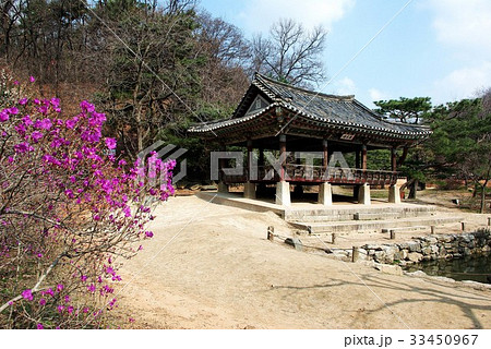 京畿道 キョンギド 容認民俗村 33450967