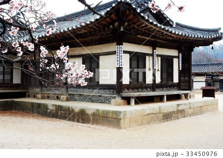 京畿道 キョンギド 花 33450976