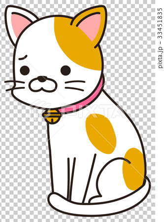 猫 ペット しょんぼりのイラスト素材
