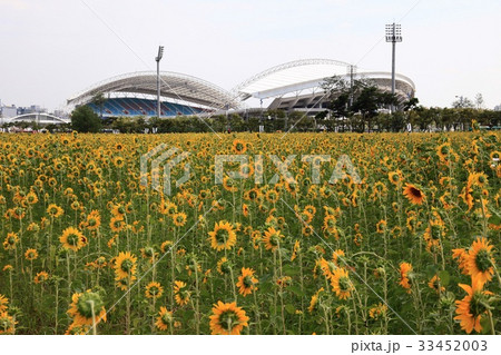 スタジアム 競技場 安山市 33452003