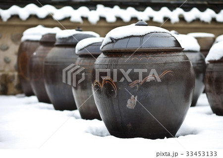 冬 ソイル農園 安城市 33453133