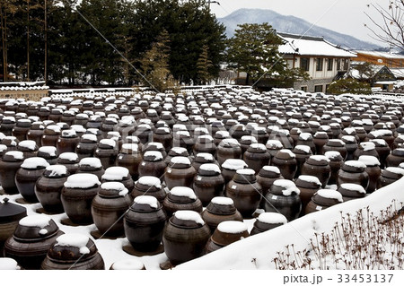 冬 ソイル農園 安城市 33453137