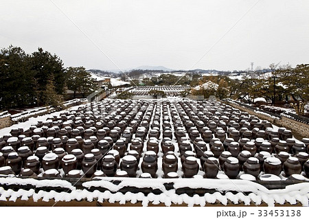 冬 ソイル農園 安城市 33453138