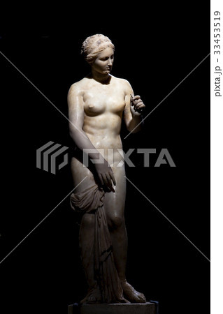 ギリシャの ヴィーナス ソウル 33453519