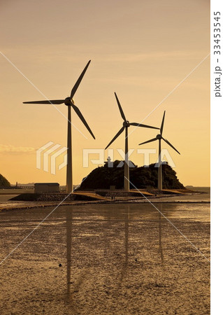 干潟 大阜島 安山市 33453545