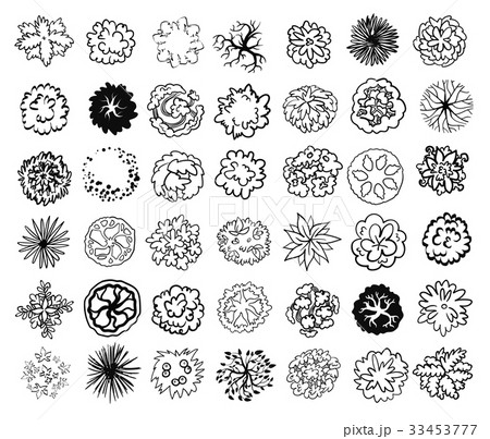 Trees, bushes and shrubs, top view for landscape 33453777