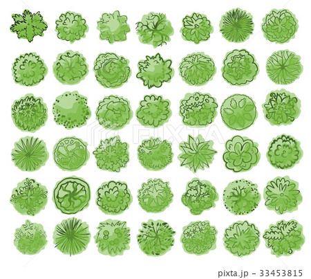 Various trees, bushes and shrubs, top view for 33453815