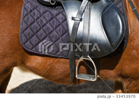 レザー ハーネス サドル 33453970