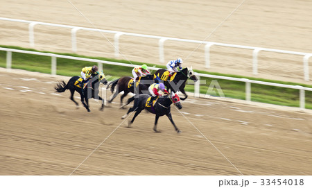 競馬場 果川市 ソウル競馬公園 33454018