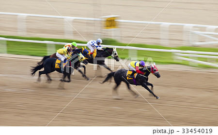 競馬場 果川市 ソウル競馬公園 33454019