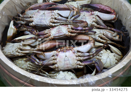 カンジャンケジャン が ケジャン 33454275