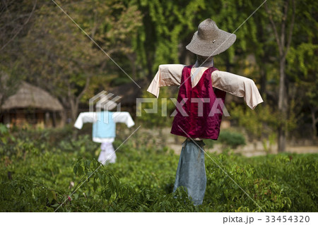 京畿道 キョンギド 田畑 33454320