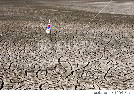 割れ 干潟 永宗島 33454917