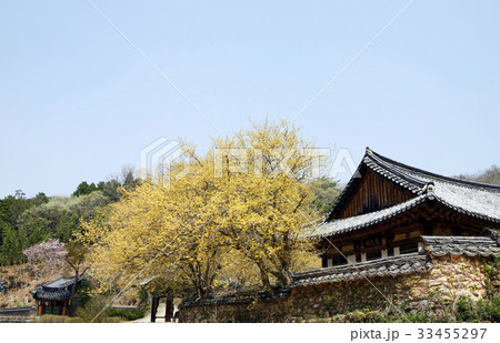 松広寺 順天市 全羅南道 33455297