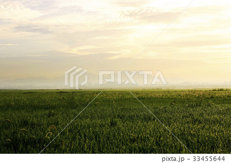 雲 夕焼け ソウル 33455644