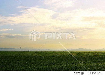 江西区 ソウル 日の出 33455645