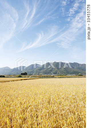 レース 雲 ノン 33455776