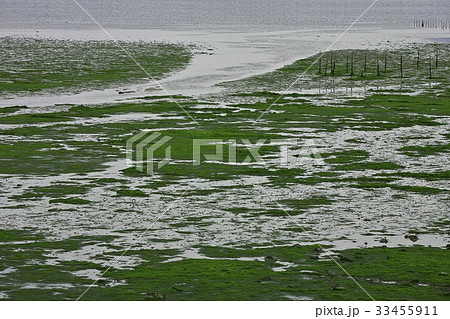 海 養殖場 莞島郡 33455911