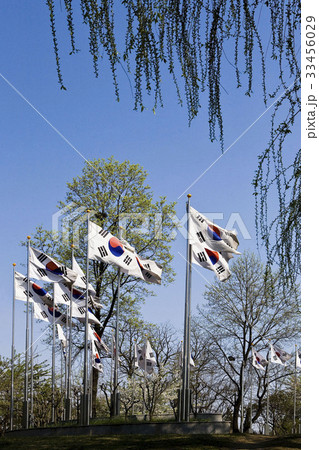 フラッグスタッフ ソウル 太極旗 33456029